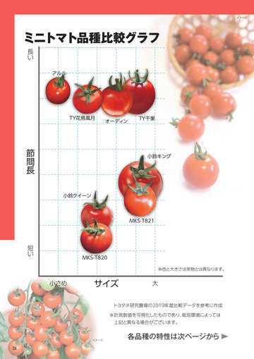 春夏2021総合カタログ